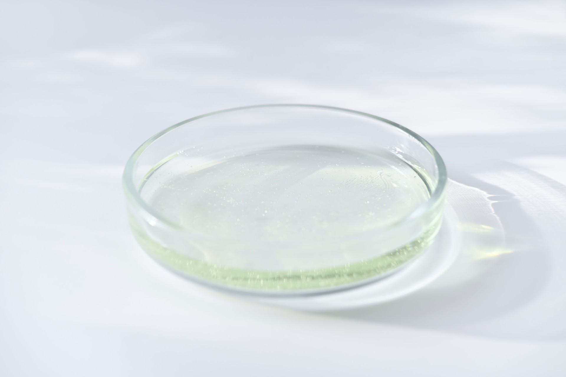 glass Petri dish on a laboratory table.
