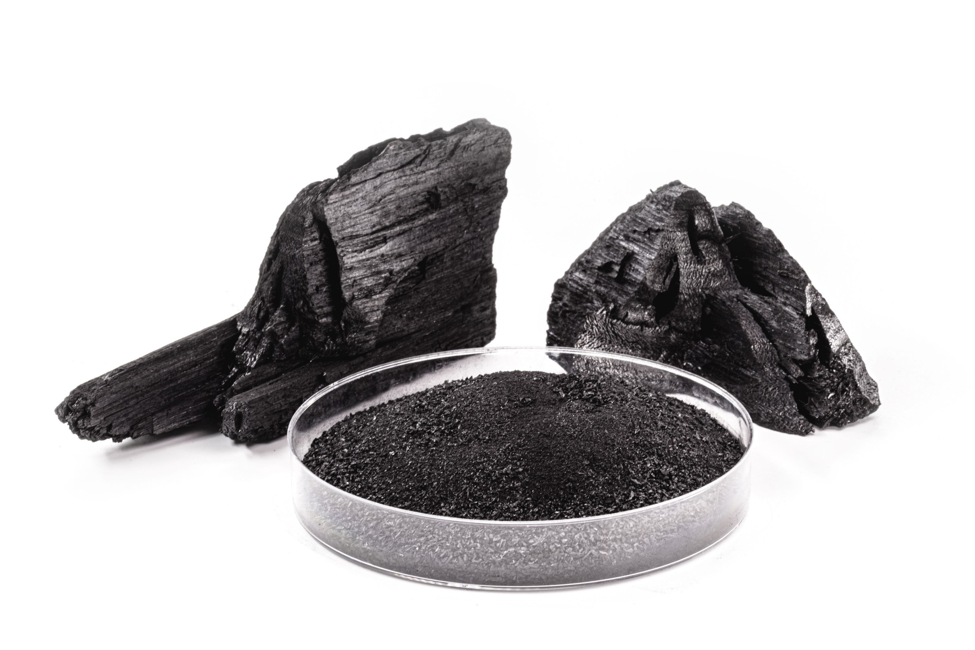petri dish with powdered charcoal next to piece of charcoal, isolated white background