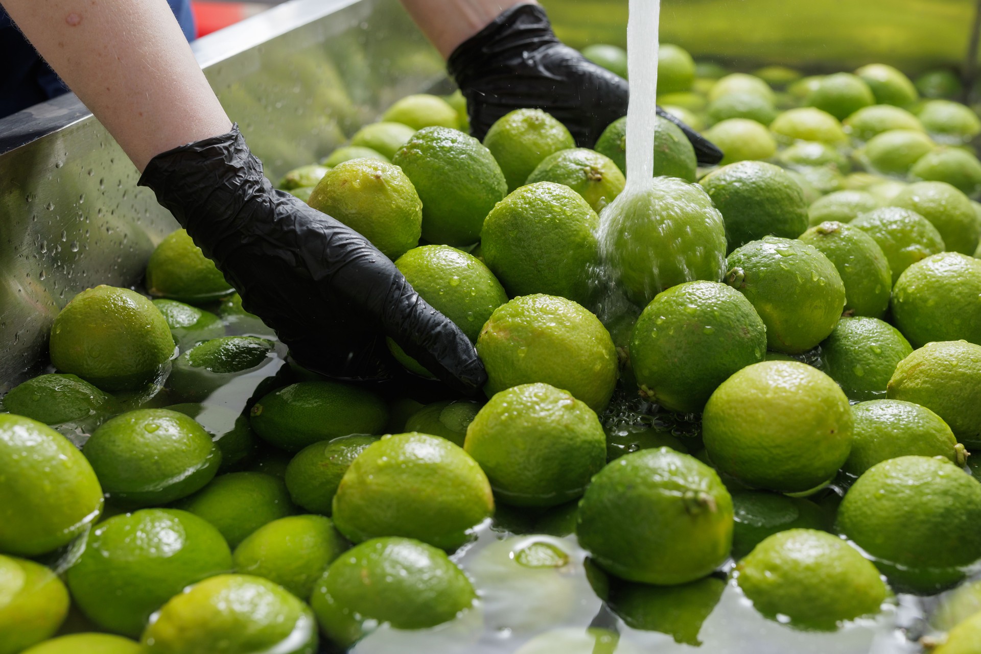 GRAS Sanitizers & CIP System Chemicals | Food Safe Water Treatment Solutions